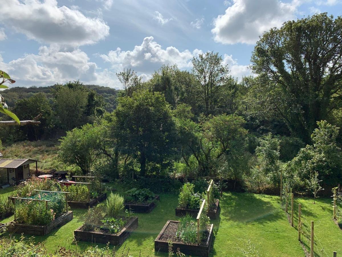 Riverbank House Bed And Breakfast Innishannon 外观 照片