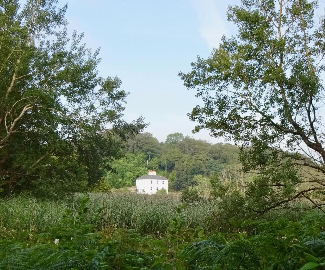 Riverbank House Bed And Breakfast Innishannon 外观 照片
