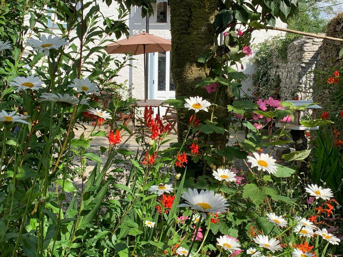 Riverbank House Bed And Breakfast Innishannon 外观 照片