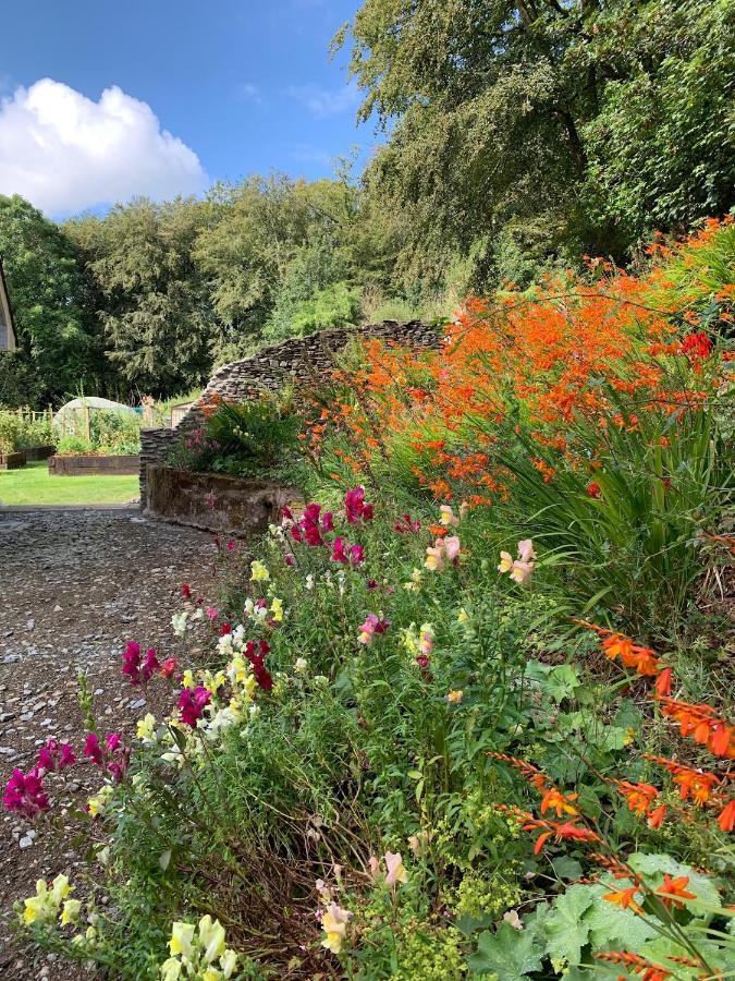 Riverbank House Bed And Breakfast Innishannon 外观 照片