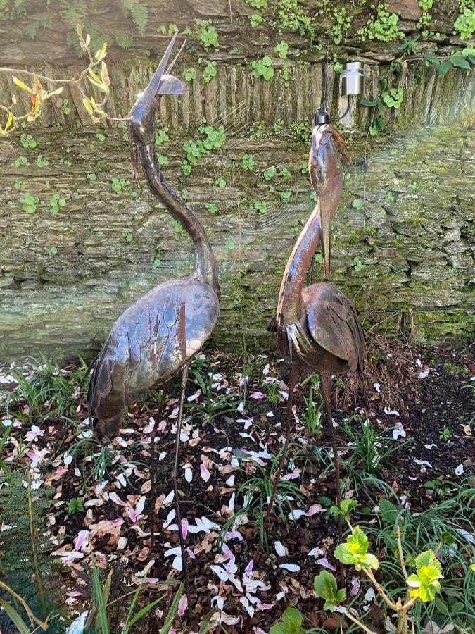 Riverbank House Bed And Breakfast Innishannon 外观 照片